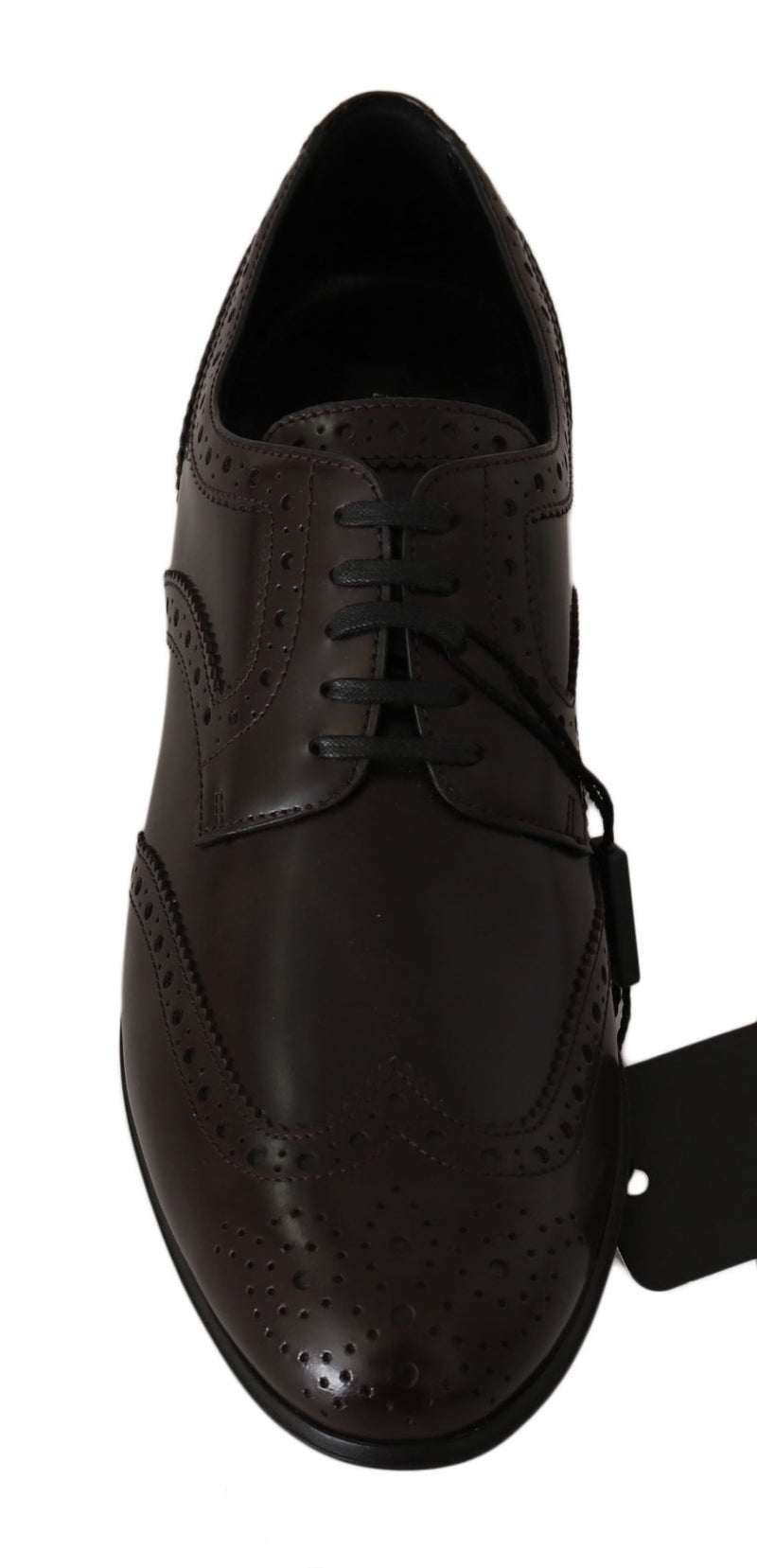 Brown Leather Broques Oxford Wingtip Shoes - Avaz Shop