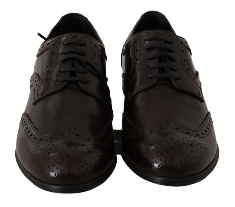 Brown Leather Broques Oxford Wingtip Shoes - Avaz Shop